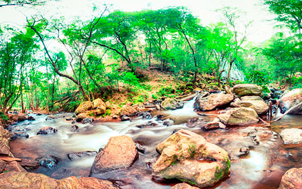 Portada Articulo 2 El Viajero Fisgón