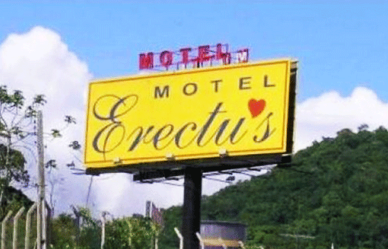 Hotel erectus