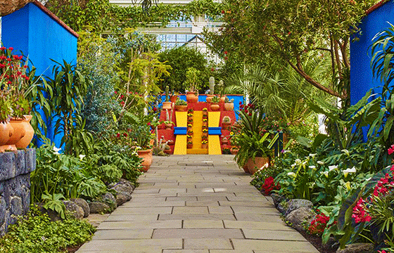 Jardín Cultural Frida Kahlo