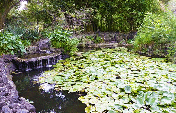 Jardín Botánico Instituto de Biología de la UNAM