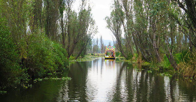 Xochimilco 2015-Hernán García Crespo-Flickr canales de xochimilco