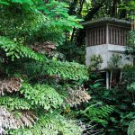La casita de la selva-Carlos Adampol Galindo-Flickr