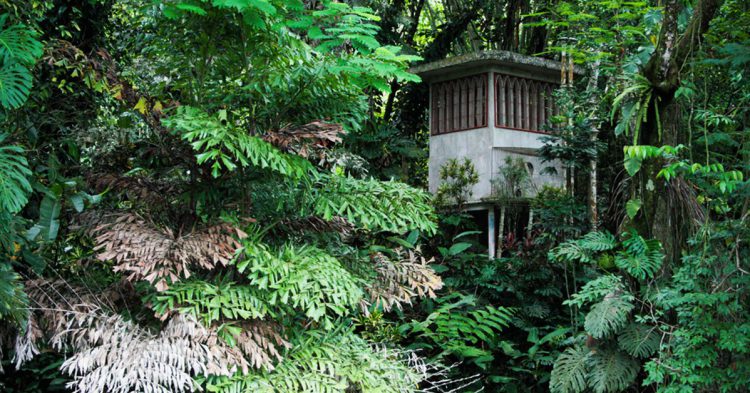 La casita de la selva-Carlos Adampol Galindo-Flickr