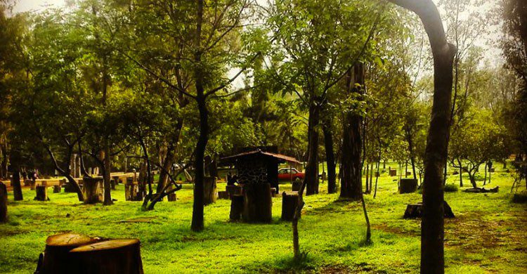 Bosque de San Luis Tlaxialtemalco Bosque de San Luis Tlaxialtemalco