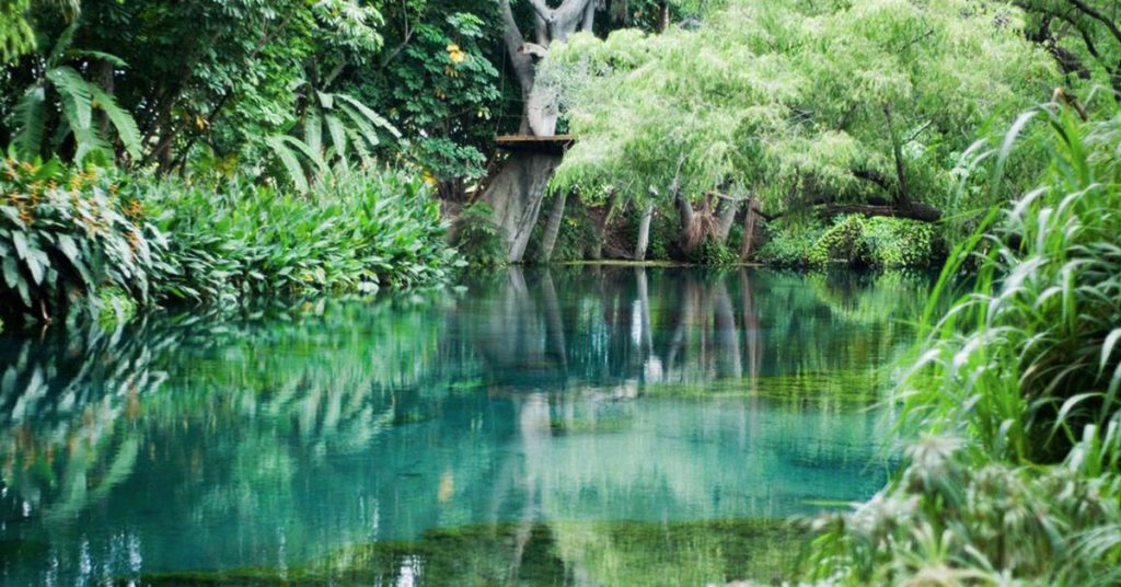 Sigue leyendo 7 razones para visitar Las Estacas