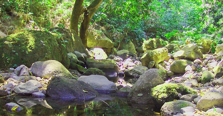 5.- Explora los alrededores.