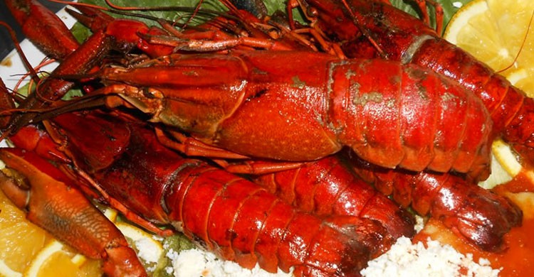 7.- Deléitate con su exquisita gastronomía.