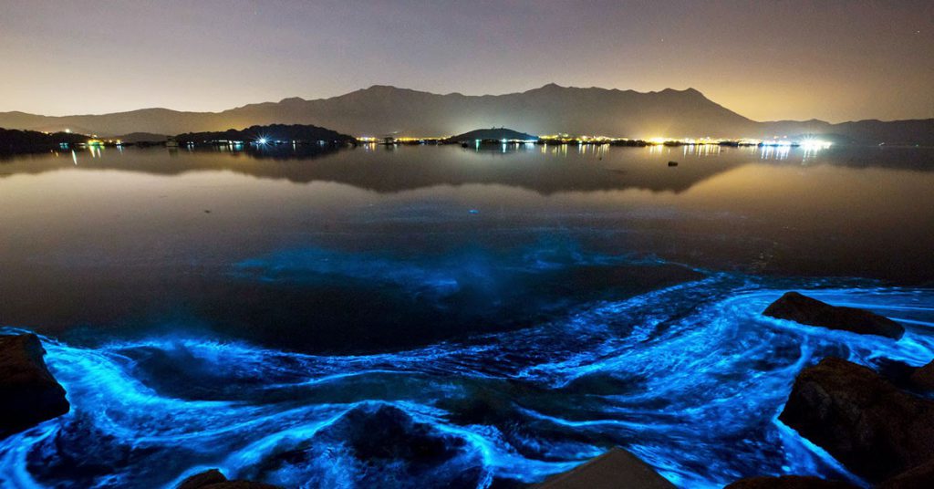 Puerto Escondido, un destino mágico para ver bioluminiscencia