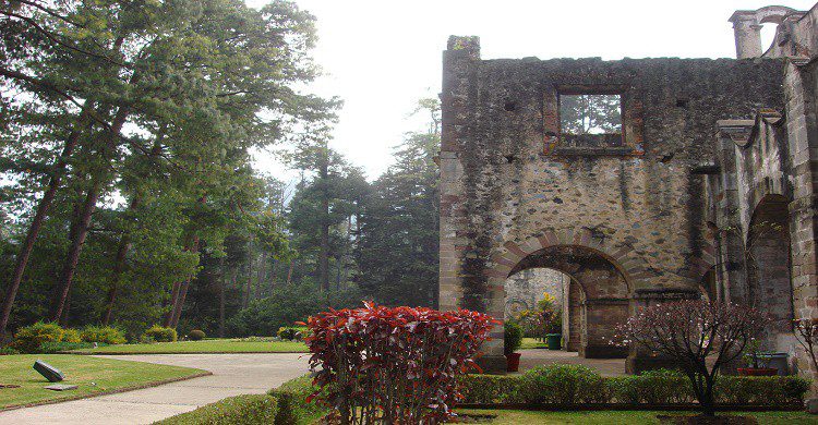 Templo en desierto de los leones