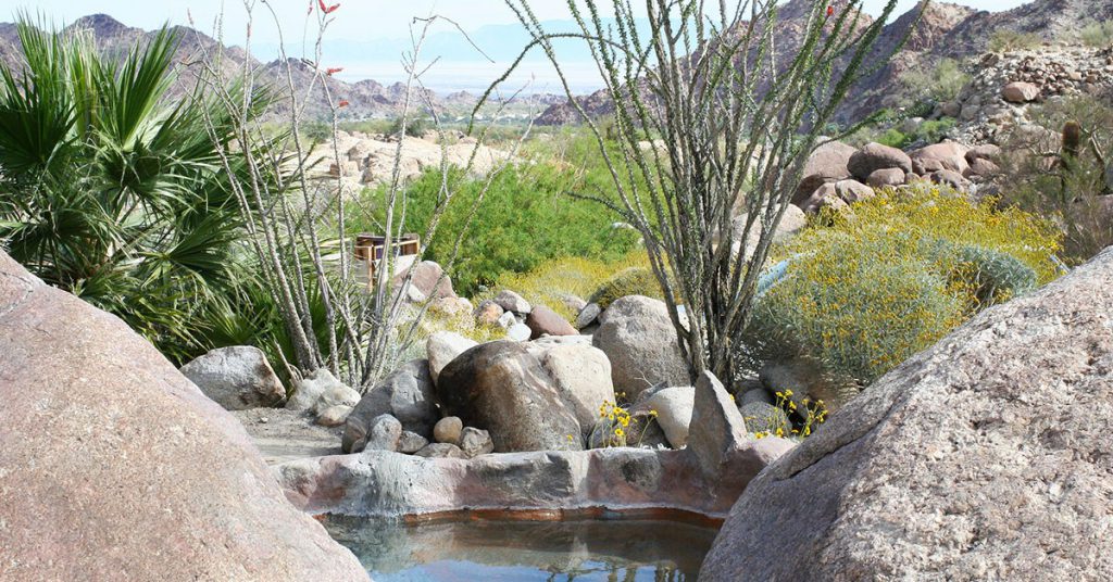 Sigue leyendo Cañón de Guadalupe, el paraíso secreto de Mexicali