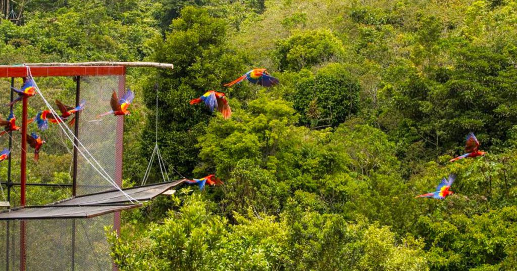 Sigue leyendo Descubre Los Tuxtlas, la  joya natural de Veracruz