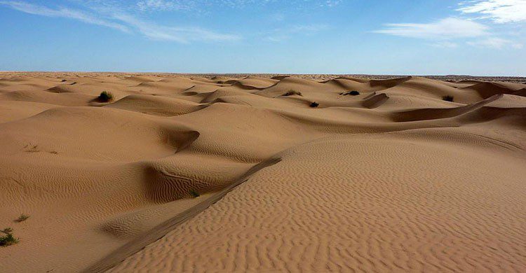 Desierto del Sahara