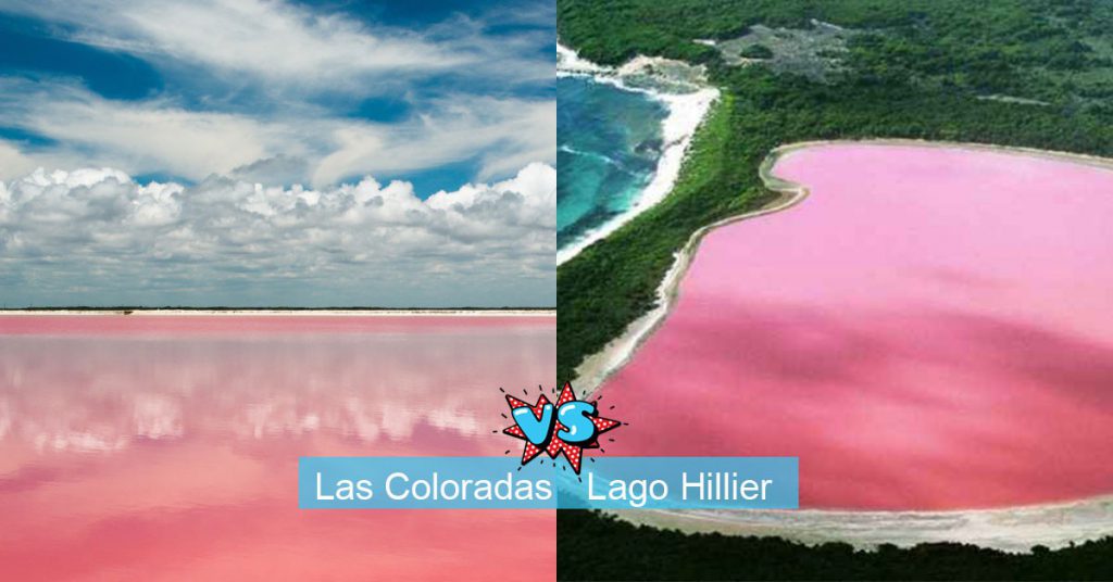 2.- Las Coloradas México vs Lago Hillier, Australia: Aguas color rosa no se ven todos los días, existen muy pocos sitios en el mundo que pueden presumir esta extraña pero a la vez fabulosa manifestación de la naturaleza, y claro el país tricolor lo puede hacer.