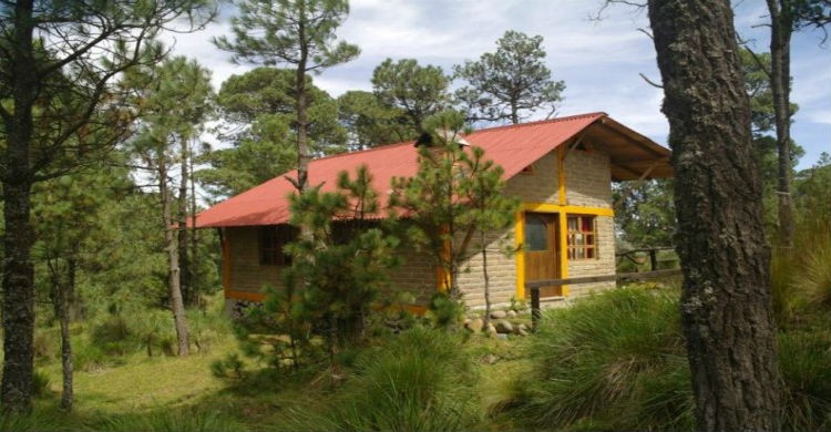 4. La Venta.
