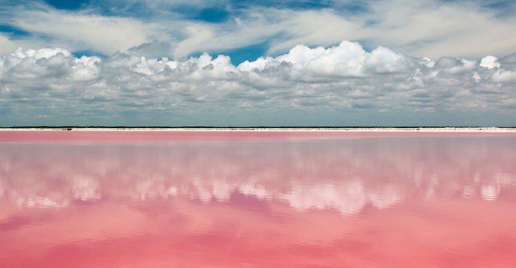 Lago de color rosa en México.
