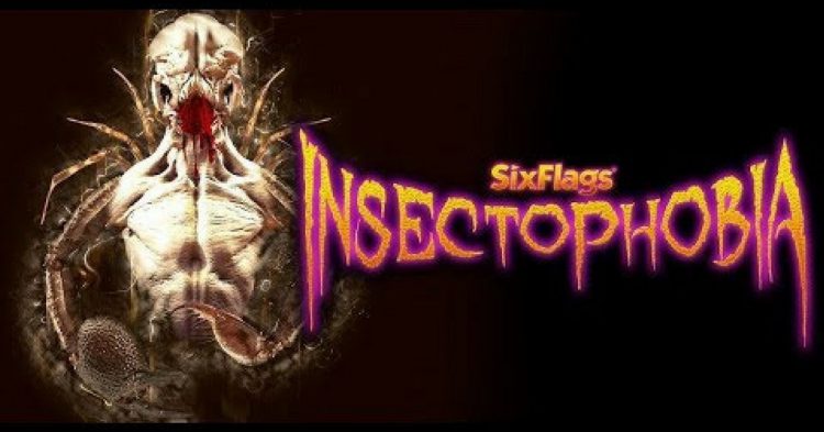 Insectophobia