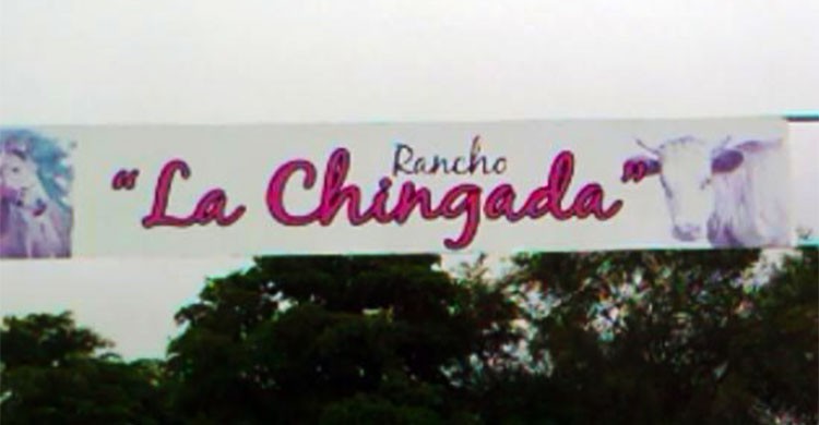 4.- Oaxaca.