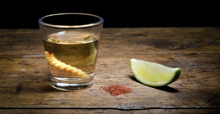 Mezcal con gusano de maguey limón y sal