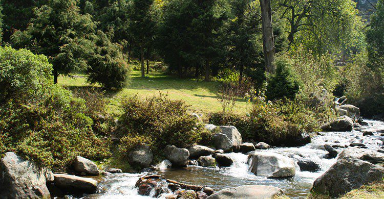 Escenario natural en la CDMX.