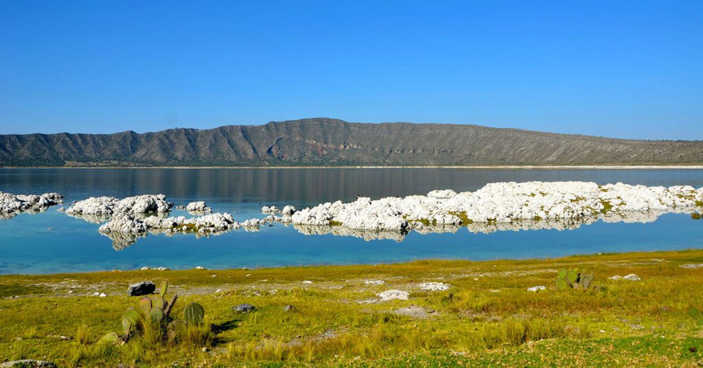 5.-Laguna-de-Alchichica