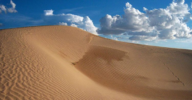 Desierto mexicano en el estado de Chihuahua.
