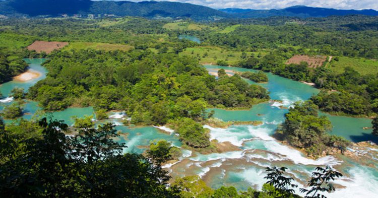 Las Nubes en la Selva Lacandona, Chiapas.