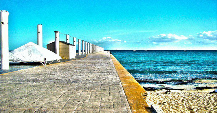 Fuente: Pixabay