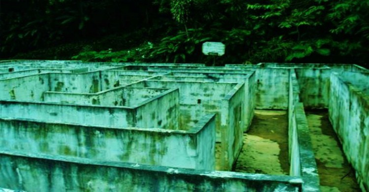 5.- Laberinto de Xilitla