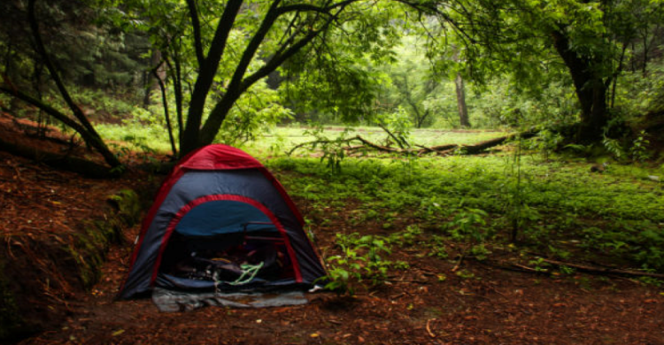 Tienda de acampar en el bosque 