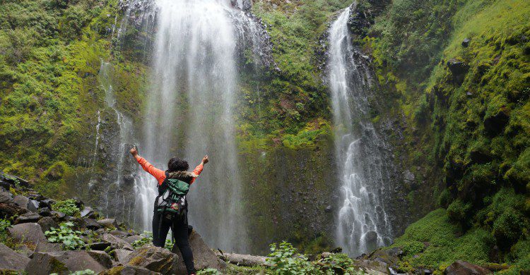 Dos viajeros contemplando cascadas en medio del bosque