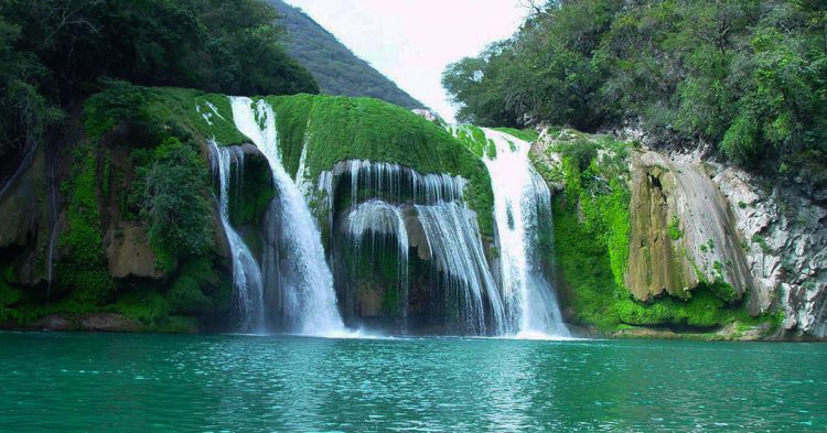 Espectaculares destinos en la Huasteca Potosina. 