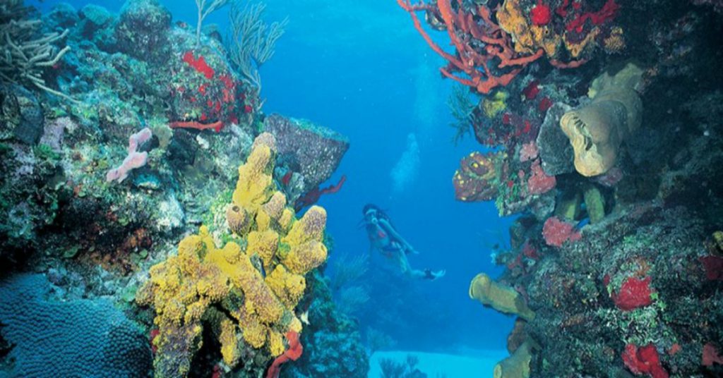 Punta Nizuc