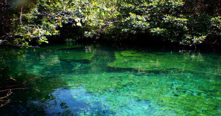 Cenote 