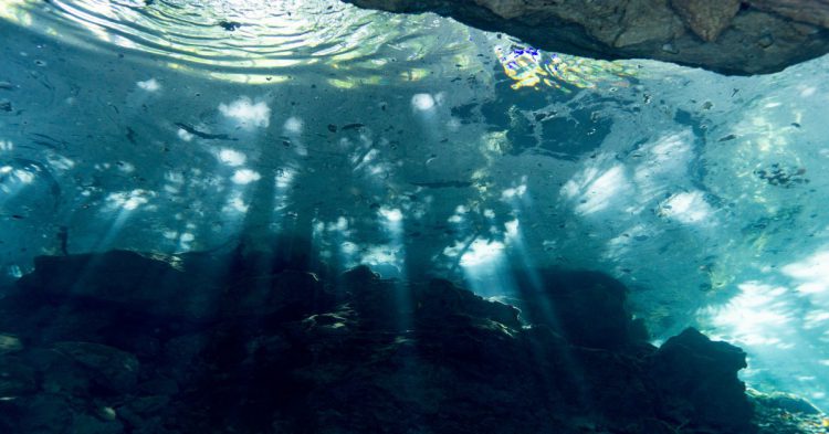 Fuente: Flickr- Chac Mool cenote. Playa Del Carmen, MX.-Ratha Grimes