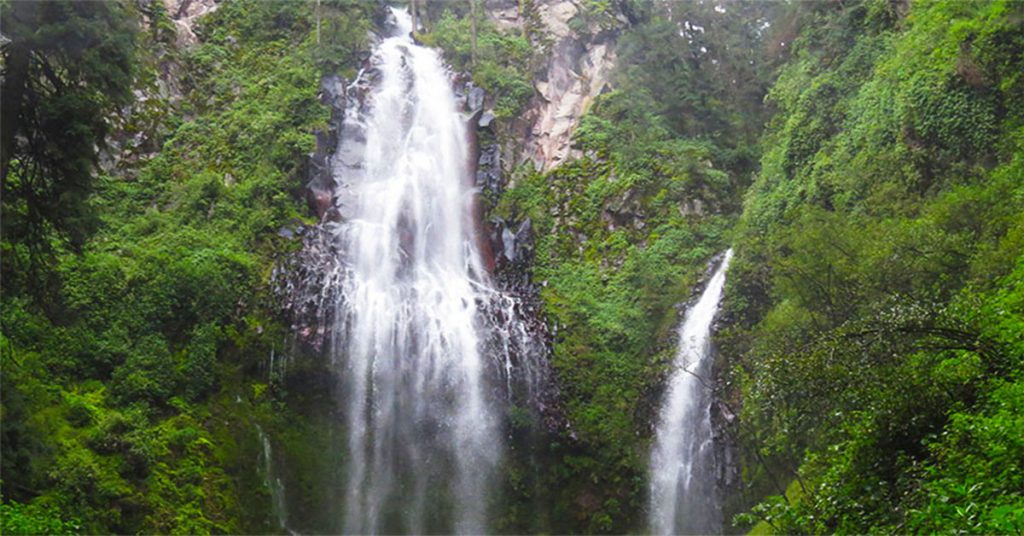 Sigue leyendo Dos Aguas, el santuario natural cerquita de la CDMX