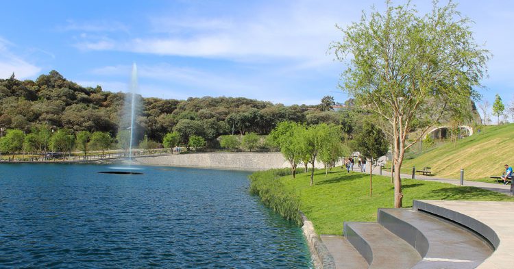 Lago desde otra perspectiva.