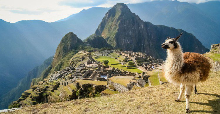 Machu Picchu con llama