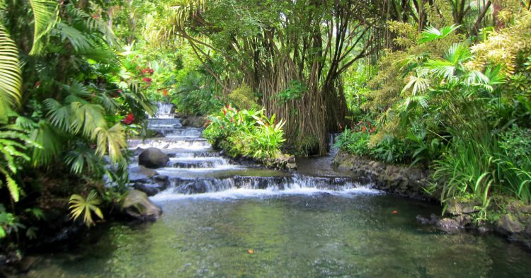 Balneario natural Tabacon