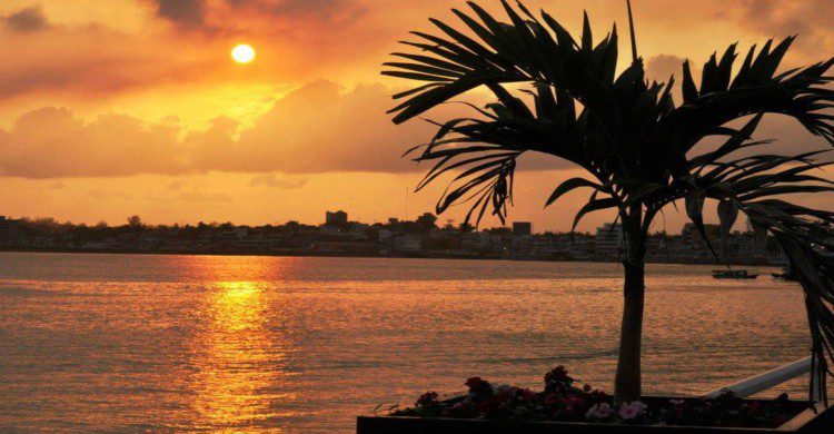 Playa de Tuxpan al atardecer con palmera a contra luz
