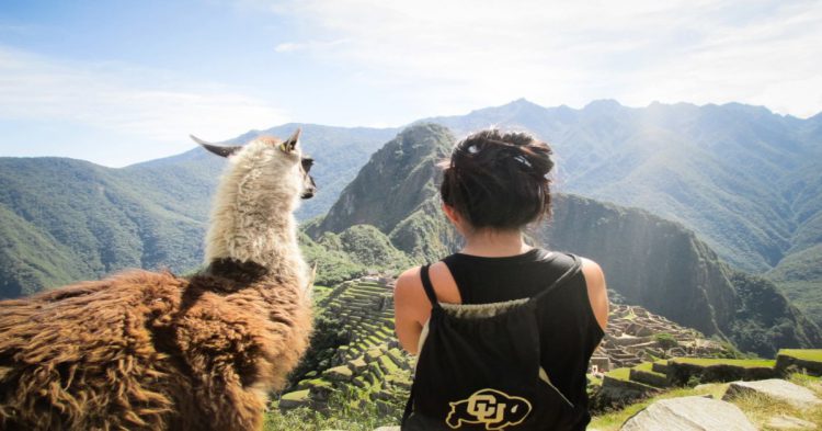 Mujer de espaldas con una llama al lado admirando las ruinas de Machu Picchu de día