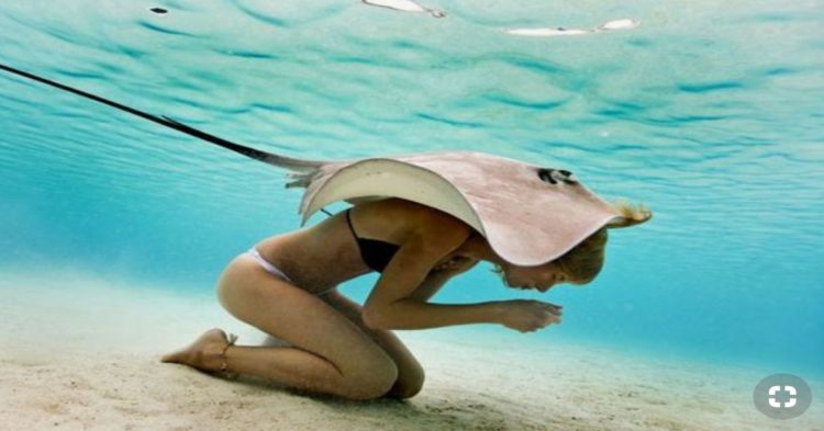 Mujer en traje de baño bajo el mar con mantarraya en su espalda