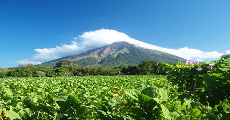 Isla de Ometepe, Nicaragua Volcán y vegetación verde de día