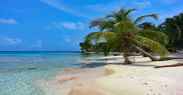 San Blas, Panamá isla de arena blanca con palmera y mar