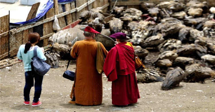 4. Mongolia y Tíbet