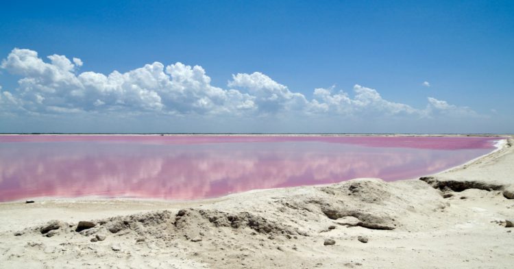 Las Coloradas, Yucatán agua rosada con arena blanca de día