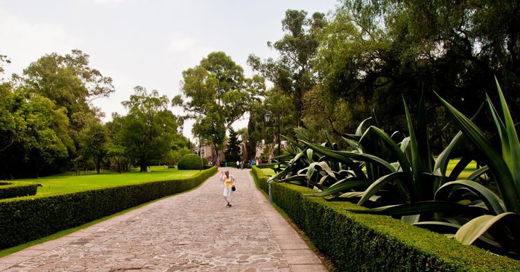 Museo en la Ciudad de México