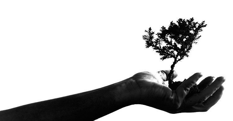 Fuente de la imagen: Pixabay.