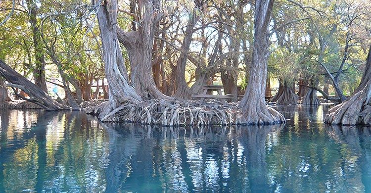 lago-camecuaro