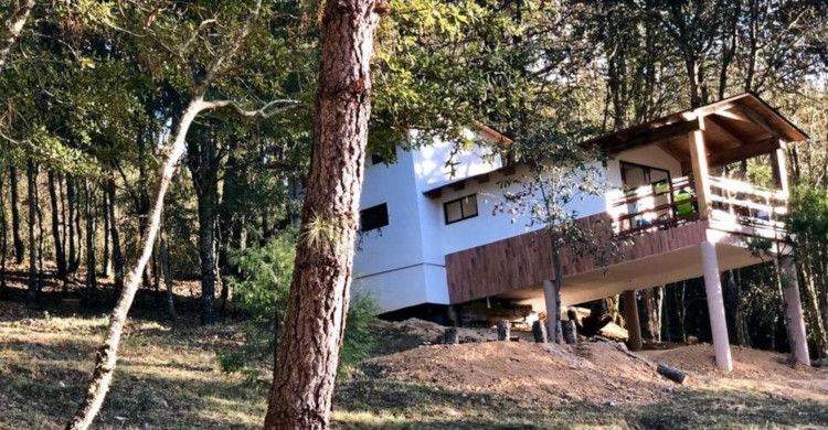 Cabaña blanca en medio del bosque