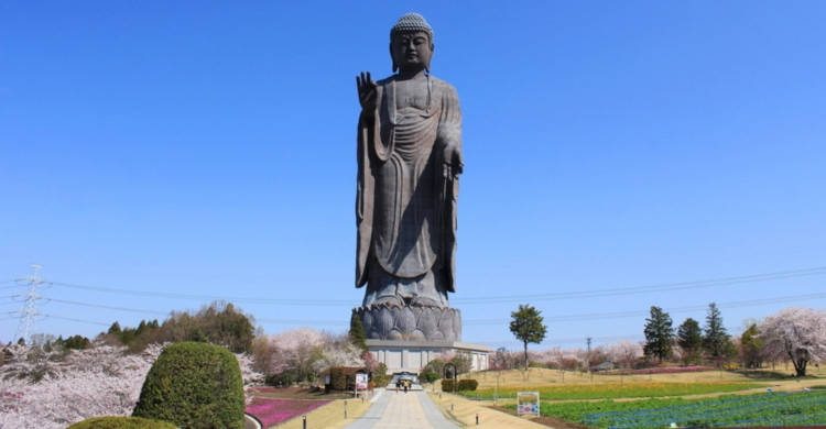 Estatua de buda de día con cielo azul